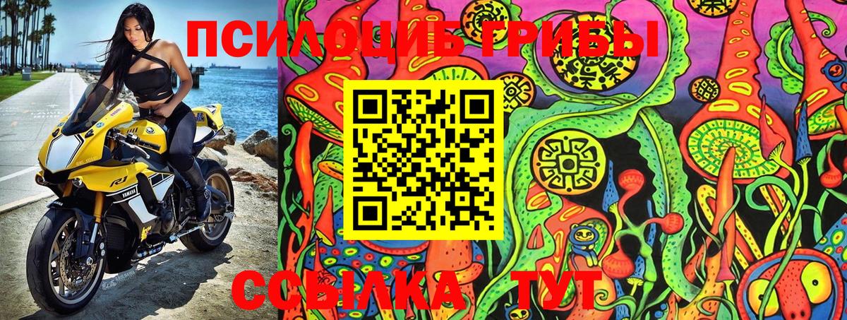 Галлюциногенные грибы MAGIC MUSHROOMS Кострома