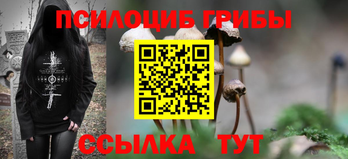 Кострома  Псилоцибиновые грибы прущие грибы  Вход с VPN 